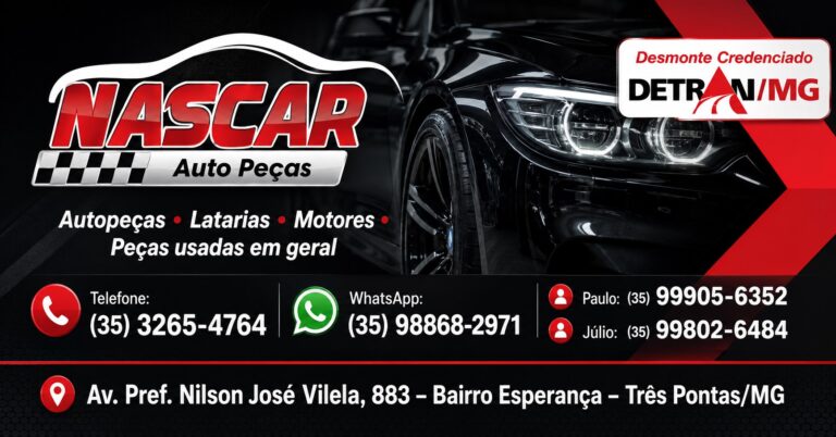 NASCAR Auto Peças